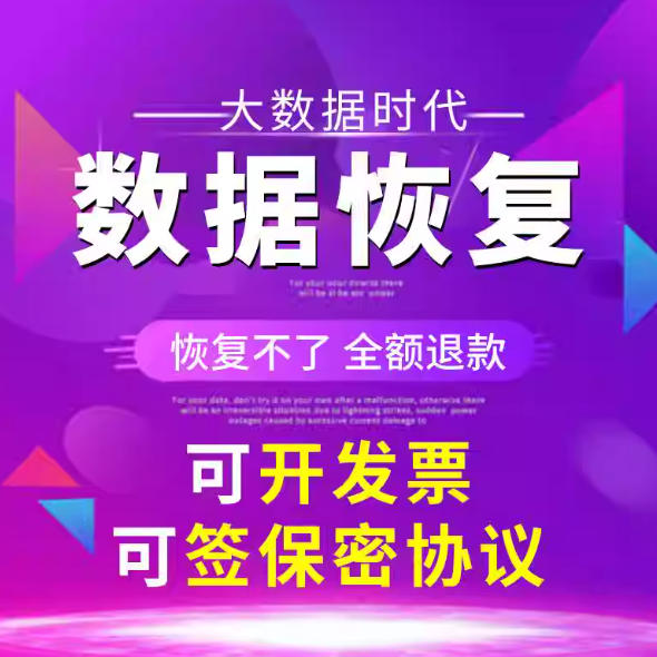 移动硬盘数据恢复电脑机械固态U盘sd卡照片视频远程修复软件服
